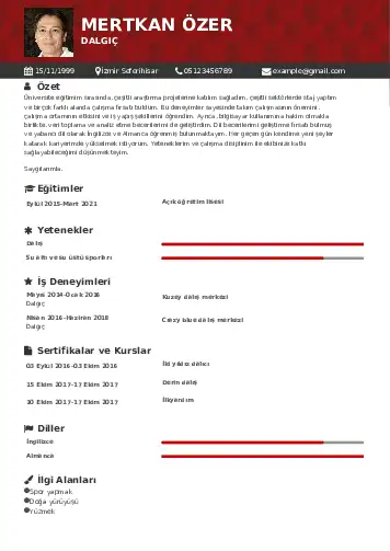 Dalgıç CV Örnekleri cv indir